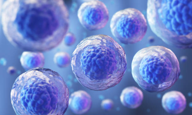 Stem Cell Therapy